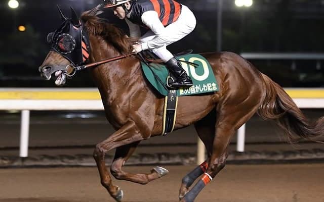 【AJCC予想】AIの本命候補は「超人気薄」!? 馬券内なら「大荒れ必至」の指名馬とは