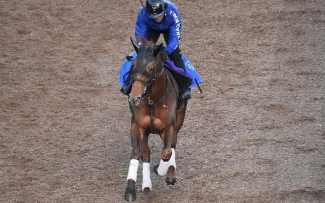 テーオーケインズなど、先週の入厩情報/栗東トレセンニュース