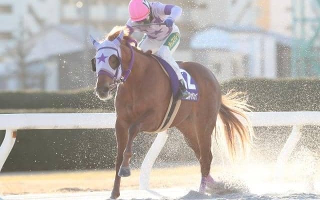【名古屋・新春ペガサスC結果】レイジーウォリアーが逃げて7馬身差圧勝