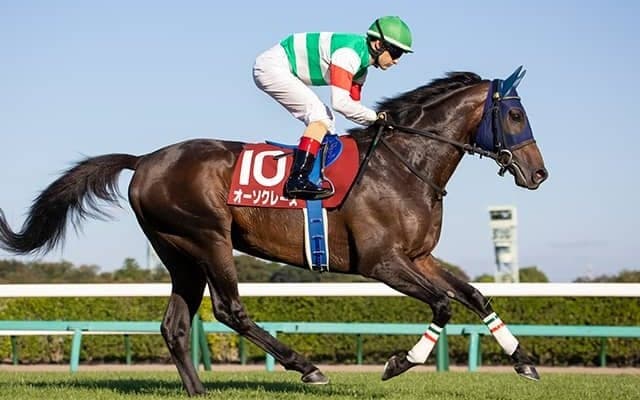 【AJCC予想オッズ】明け4歳オーソクレースが予想1番人気