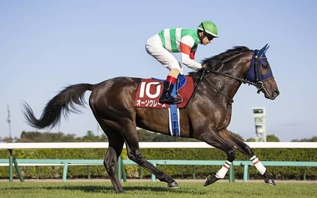 【AJCC想定騎手】オーソクレースはC.ルメール騎手、ポタジェは川田将雅騎手