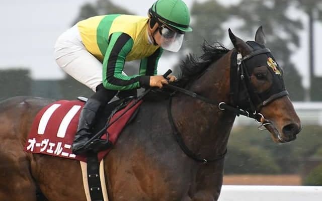 【東海S予想オッズ】前年覇者オーヴェルニュが予想1番人気