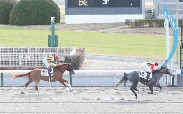 【新馬/中京4R】ダイワメジャー産駒 ナパージュケイクがデビューV