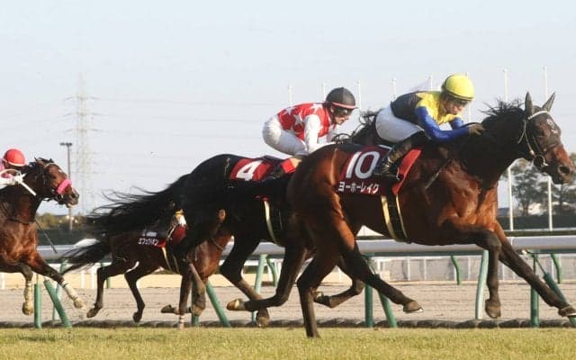 【日経新春杯】ヨーホーレイクが重賞初制覇