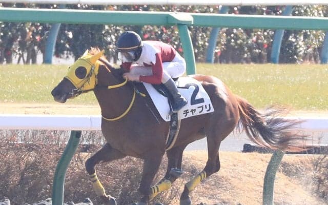 【新馬/中山4R】ヘニーヒューズ産駒 チャプリが5馬身差圧勝