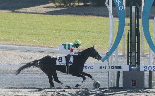 【新馬/中京4R】アロゲート産駒 ウィングヘヴンがデビューV