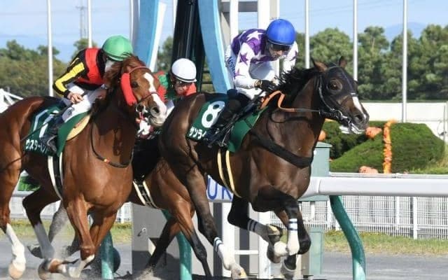 【東海S展望】フェブラリーSへのステップレース、好走の条件とは