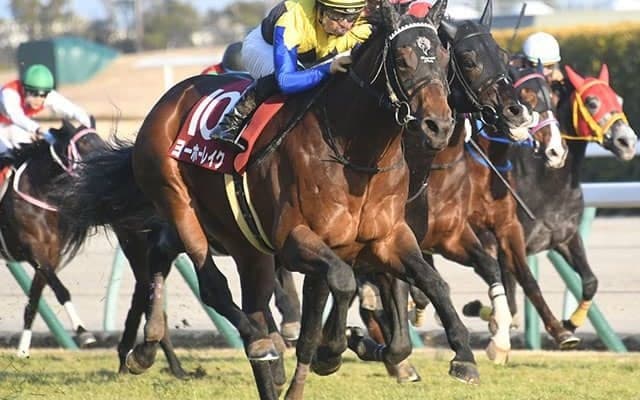 黄金配合のヨーホーレイク　良血開花で今後の活躍が楽しみな1頭