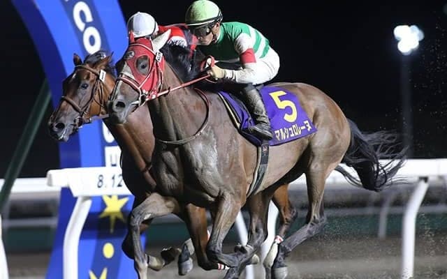 マルシュロレーヌが『特別表彰馬』に選定されたワケ JRA賞では無冠もNARグランプリで受賞