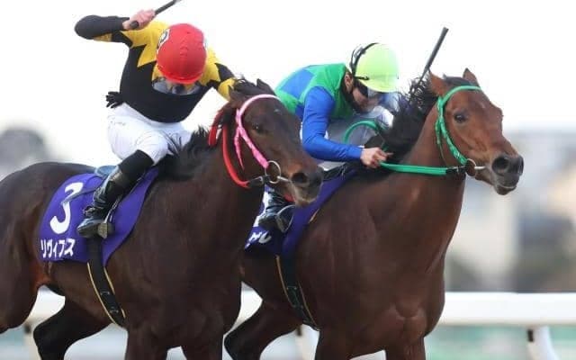 【浦和・ニューイヤーカップ】接戦制したミゲルの本田正重騎手「競馬のセンスがとてもいい馬」