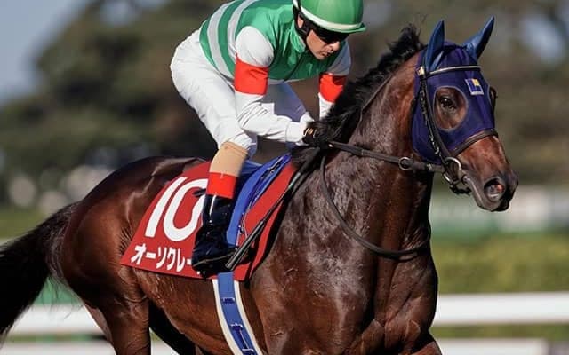 【AJCC 注目馬】重賞初制覇狙う良血馬が、今年初戦で飛躍なるか