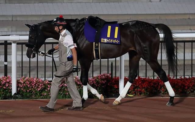 【東海S「見逃せない調教師」ベスト3】中京ダート1800mで複勝率は32.4％、複勝回収率94％ 穴を狙うならこの調教師！