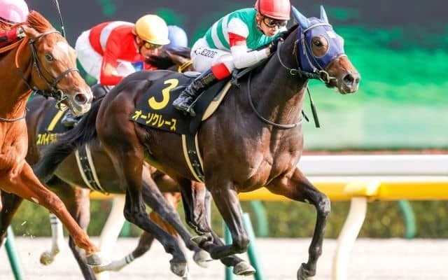【AJCC出走馬・騎手確定】オーソクレース＆ルメール騎手、ポタジェ＆川田将雅騎手など14頭