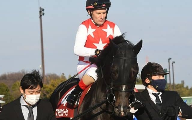 ステラヴェローチェはドバイ遠征に前向き、シーマCとターフに登録