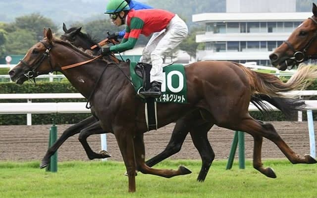 【JRA】2019年小倉2歳Sを制したマイネルグリットが登録抹消 地方競馬へ移籍予定