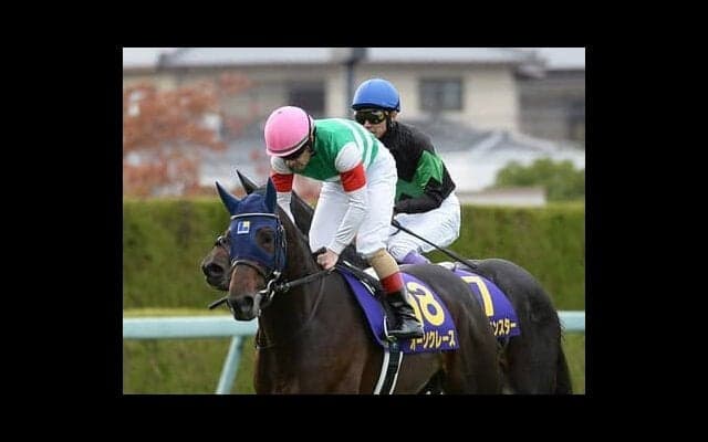 アメリカジョッキークラブＣは、ディープ産駒よりコース適性が高そうな２頭をチェック