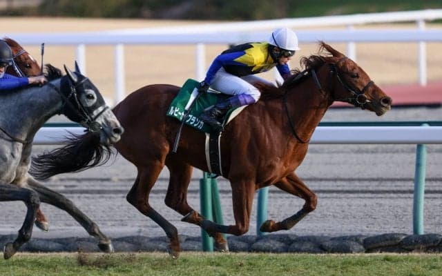 【武豊日記】荷物を一つ下ろせたような感覚です