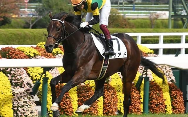 【本日の注目ポイント】若駒Sで5億円馬リアドが武豊騎手を背に連勝狙う