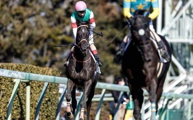 【AJCC予想】例年と比べると傷みは少ない印象で… /万哲の馬場予報