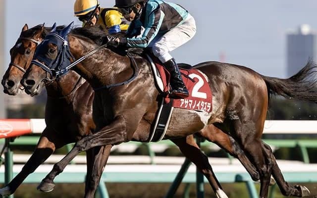 【AJCC予想】前走GI組が近3年は全て優勝！ 重要なのは「先行力」or「瞬発力」