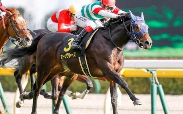 【本日の注目ポイント】中山でAJCC、中京では東海S