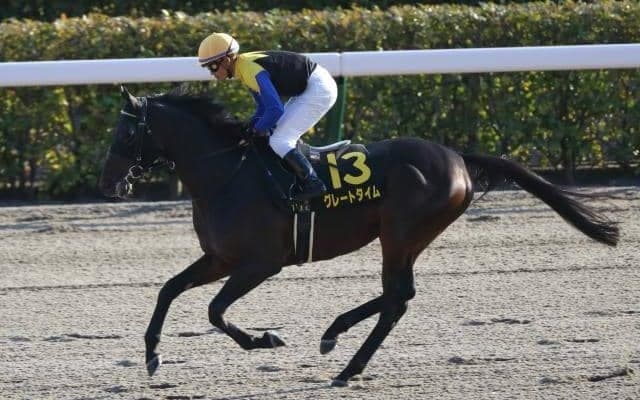 【東海S予想】近走好調の古豪が、鞍上を重賞初制覇に導くか