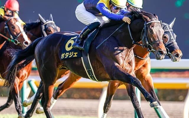 【AJCC予想】AI予想が絶好調！ 今年は毎週「重賞的中」オーソクレースではない今週の「◎」は…