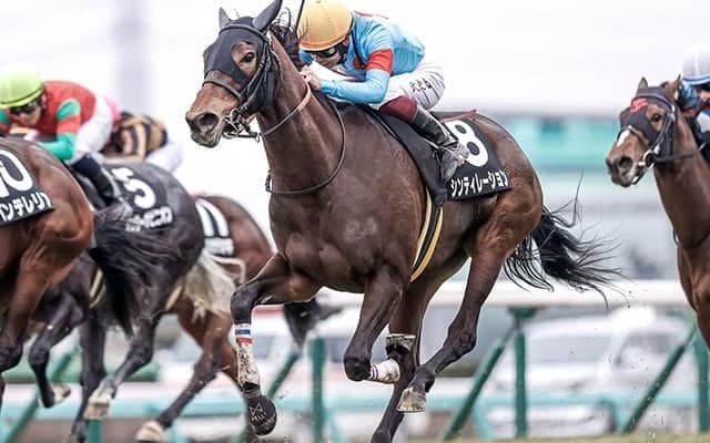 【若竹賞結果】シンティレーションが差し切り決めて2勝目