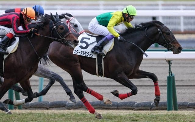 【中京5R】武豊 エターナルビクトリが初勝利