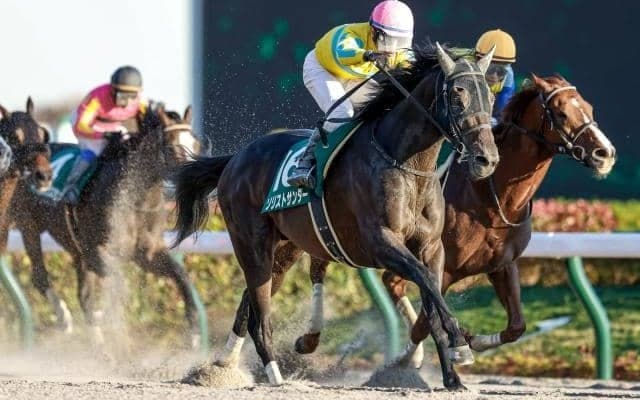 JRAは今週末から東京開催！ 重賞はGI前哨戦の根岸SとシルクロードS/今週の競馬界の見どころ