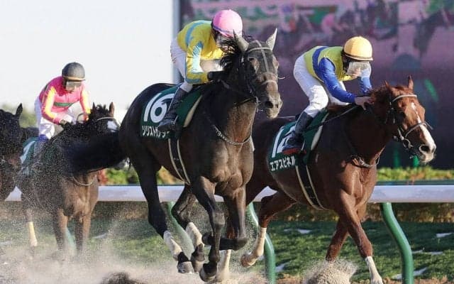 【根岸S登録馬】ソリストサンダーなど24頭