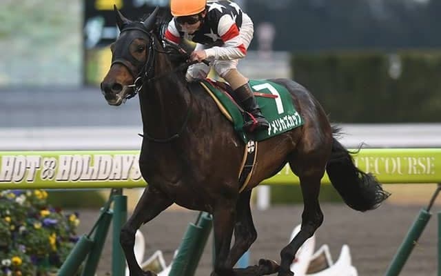 【先週のJRA抹消馬】2017年きさらぎ賞覇者アメリカズカップ、アイムユアーズの仔モーベットなど