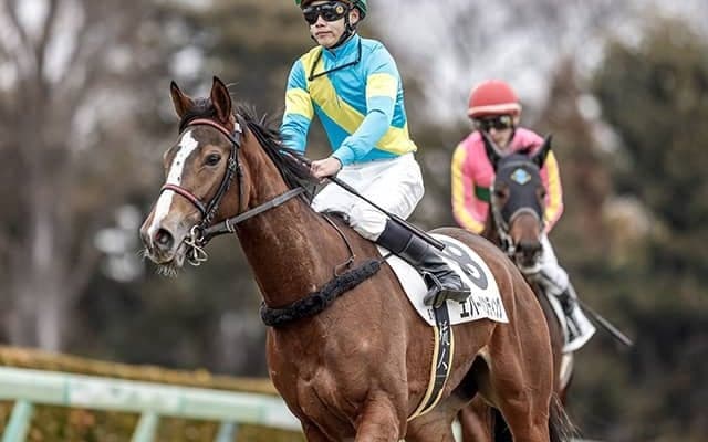 【JRA】横山武史騎手が関東首位浮上 “横山姓”がベスト5内で3人を占める