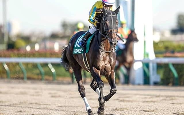 【根岸S想定騎手】ソリストサンダーは戸崎圭太騎手、オメガレインボーは横山和生騎手
