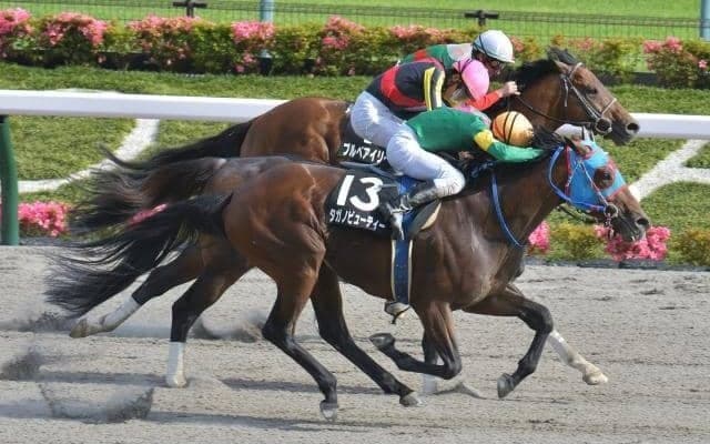 【根岸S展望】ペースが速くなり差し馬が台頭してきやすいレース