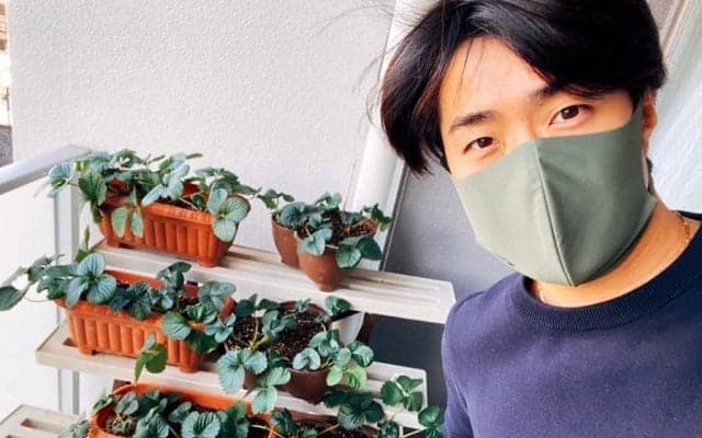 戦力外から「イチゴ農家」転身へ　異色の決断を後押しした妻の“思わぬひと言”