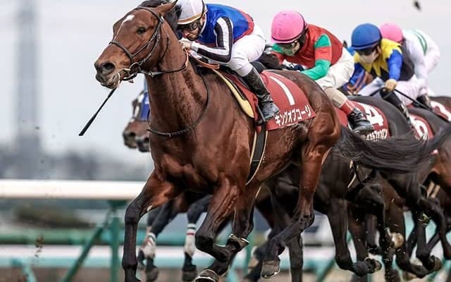 母方にサドラーズウェルズを持ち長めの距離を苦にしないロードカナロア産駒のキングオブコージ