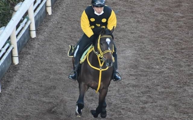 アルーリングウェイなど、先週の入厩情報/栗東トレセンニュース