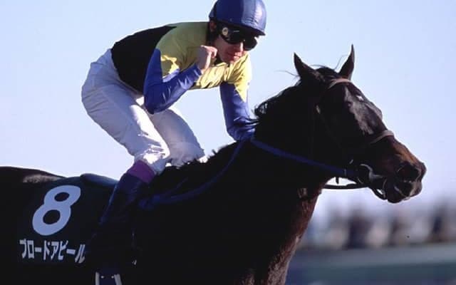 【ファンなら絶対に見ておきたいレース】他馬が“止まって見えた”鬼脚！ 伝説的追い込みが記憶に残る個性派牝馬