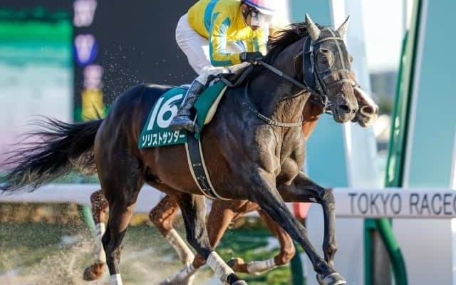 【根岸S予想オッズ】重賞連勝狙うソリストサンダーが予想1番人気