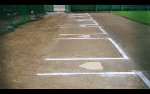 球界を襲うオミクロン株の脅威　感染症の専門家は「キャンプでの感染者を０にすることはできない」