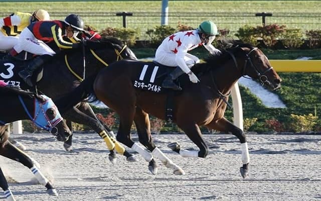 【根岸S「見逃せない調教師」ベスト3】東京ダート1400mで複勝率は55.0％、複勝回収率143％。馬券的に見逃せないのはこの調教師！