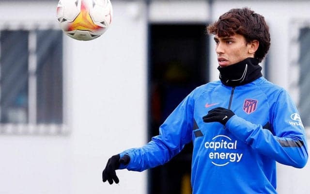 いきなりヒマになった…/原ゆみこのマドリッド