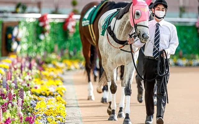 【シルクロードS「見逃せない調教師」ベスト3】2020年以降、中京芝1200mで複勝率45.0％、複勝回収率93％。短距離ならやっぱりこの人！