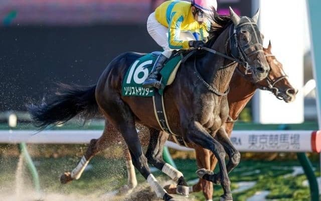 【根岸S出走馬・騎手確定】ソリストサンダー＆戸崎圭太騎手、オメガレインボー＆横山和生騎手など16頭