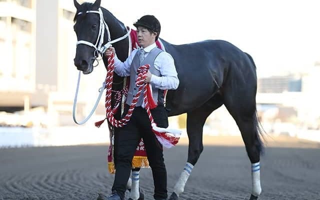 【川崎記念 出走予定馬】JRAチュウワウィザード、船橋カジノフォンテンら