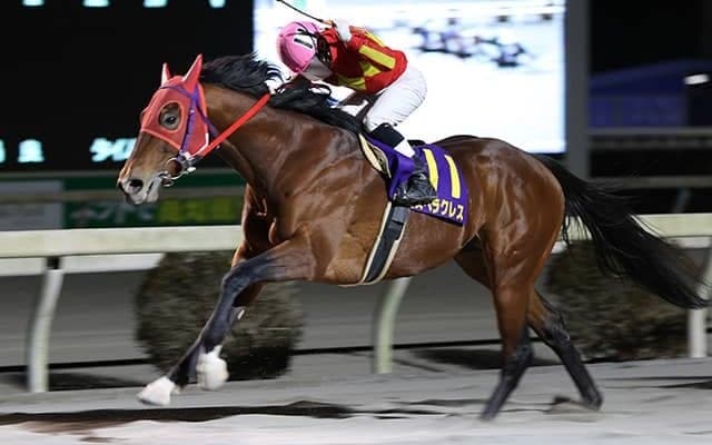 【地方競馬】78億円超、高知競馬で1開催の売上レコードを更新
