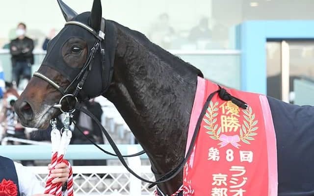 【次走】京都2歳S覇者ジャスティンロックは弥生賞で始動