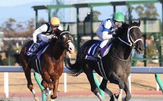 【川崎記念】JRA出走予定馬