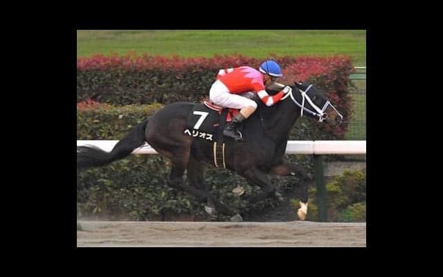 根岸Ｓは信頼度上昇中の「過去データ」を重視。大混戦から浮上する４頭が高配当を演出か